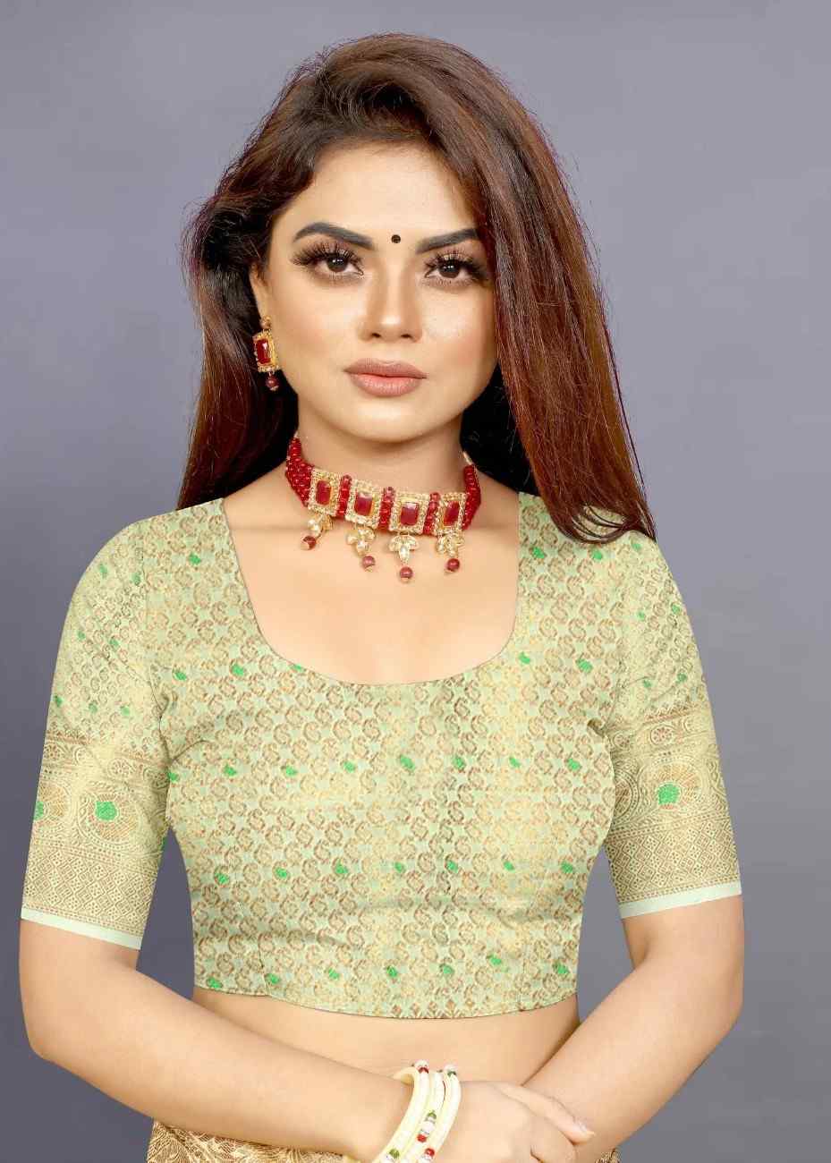 Designer Freehand Saree Pavitr patel