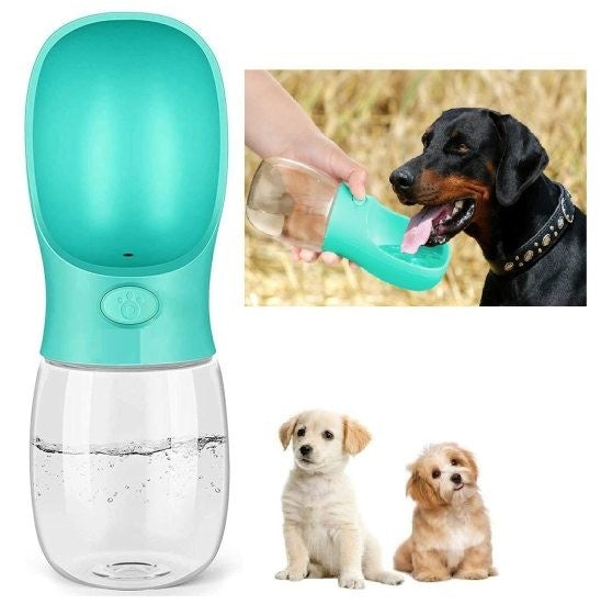 Turquoise pet water bottle with inset images of a dog drinking from it and two dogs sitting together.