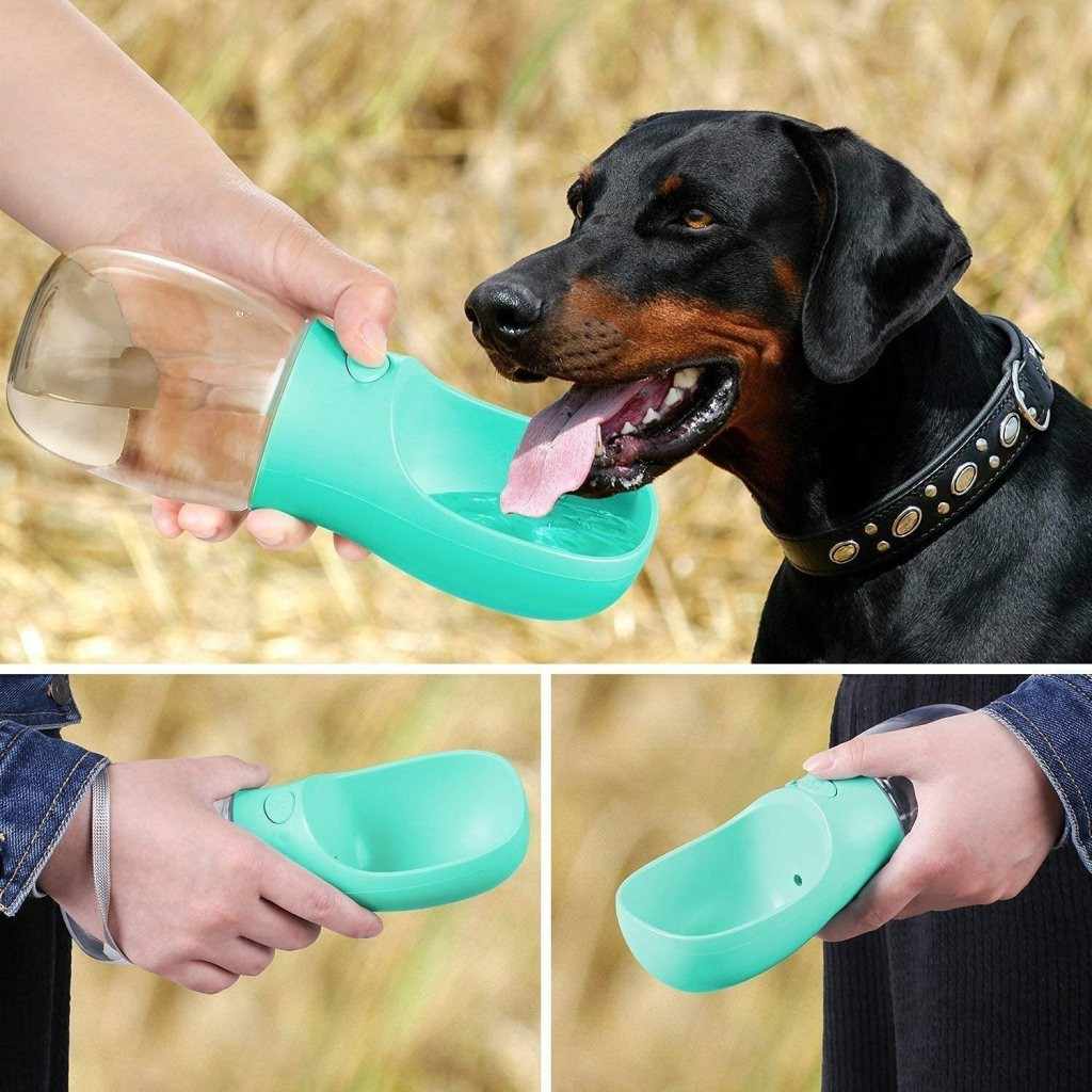 Collage of a person holding a green portable dog water bottle with a black dog drinking from it in a field.
