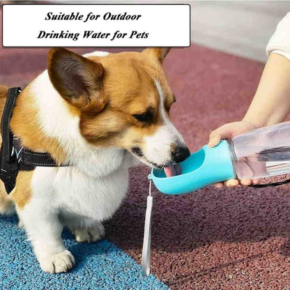 Dog drinking water from a blue pet water bottle held by a person on a textured floor.