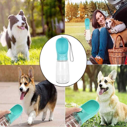 Pet water bottle with dogs in various settings