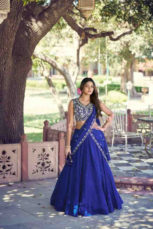 Traditional embroidered lehenga full outfit view