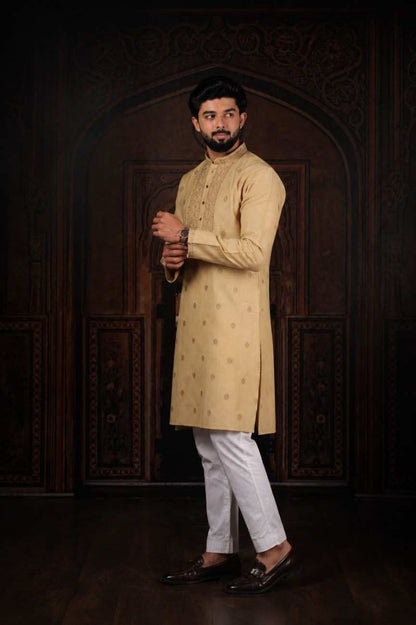 Full Sleeve Embroidered Kurta