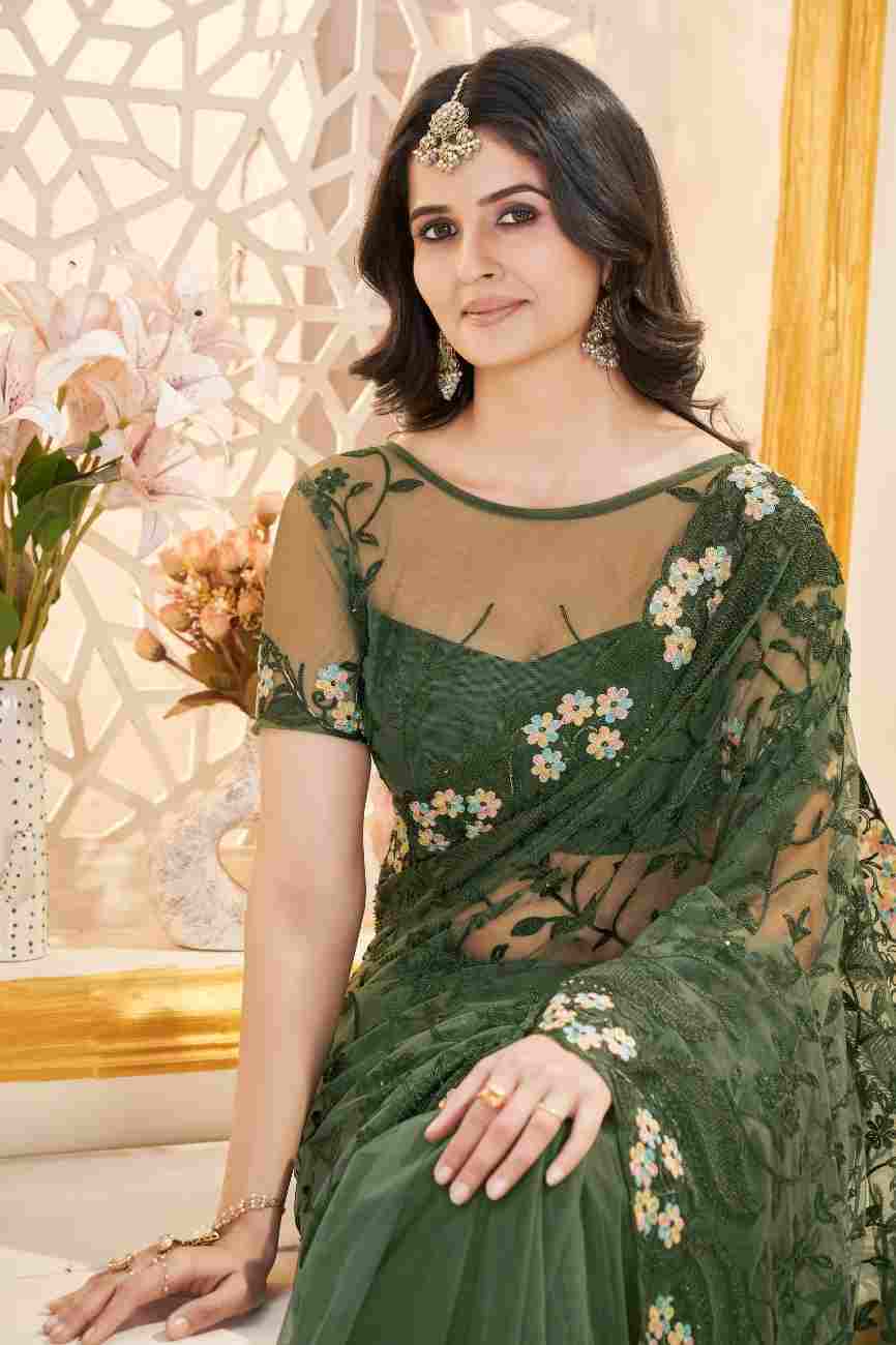 Traditional women's saree with beautiful embroidery detailing