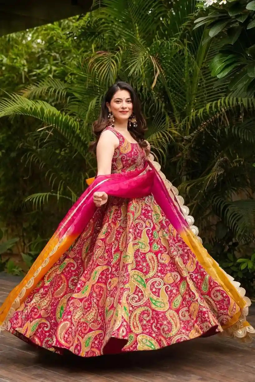 Anarkali gown Jimmy organza Silk