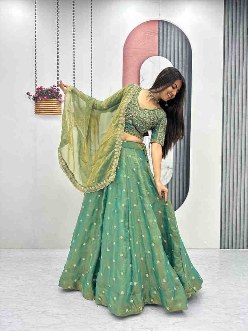 Women’s embroidered lehenga choli outfit