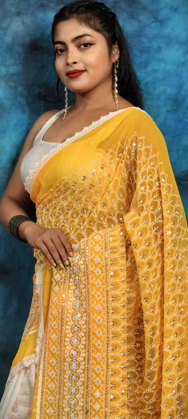 Hakoba embroidery cotton saree with lace border lightweight ethnic wear