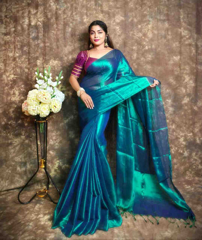 Exclusive Plain Tissue Saree – Winter Special Elegant Saree Hiya’s Boutique