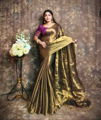 Exclusive Plain Tissue Saree – Winter Special Elegant Saree Hiya’s Boutique