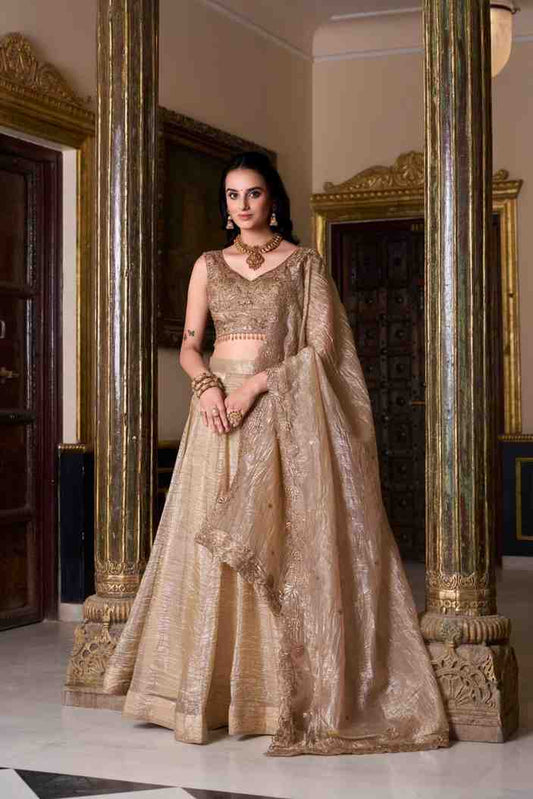 Stylish lehenga choli with embroidered dupatta