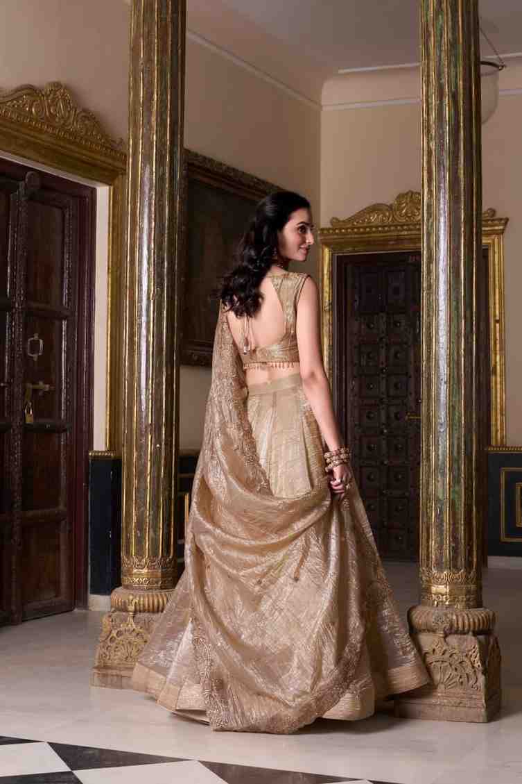 Elegant lehenga choli back design view