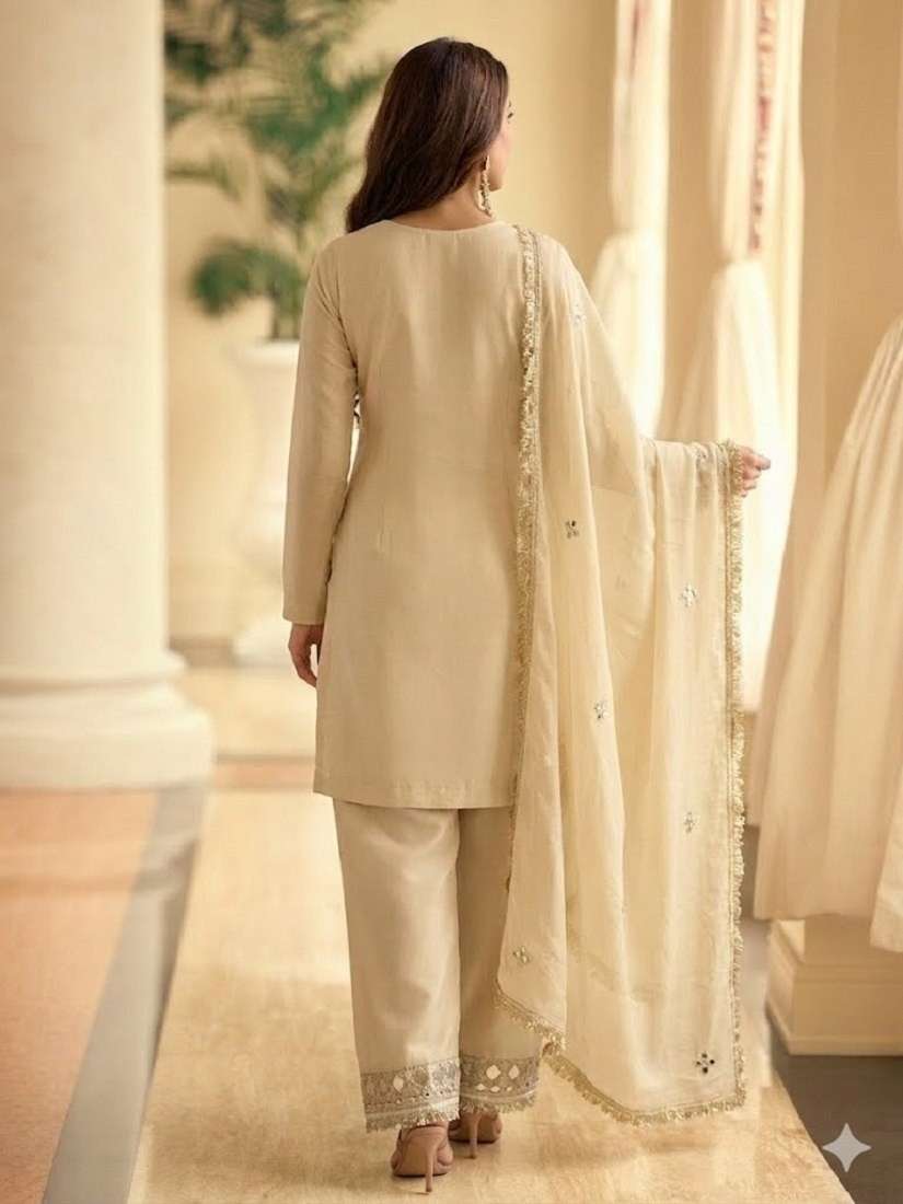Women party wear suits back design view